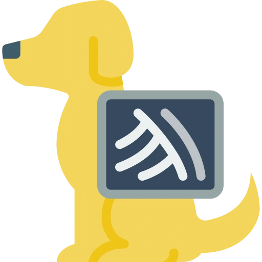 Cachorro fazendo raio x